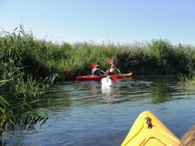 Spływ rzeką Piaśnicą do Dębek. 20 km